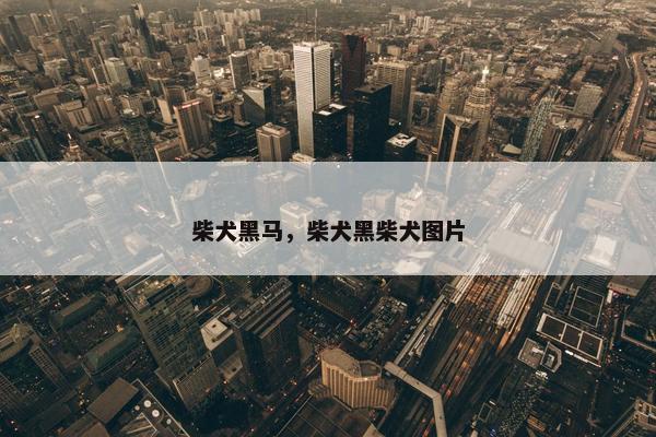 柴犬黑马，柴犬黑柴犬图片