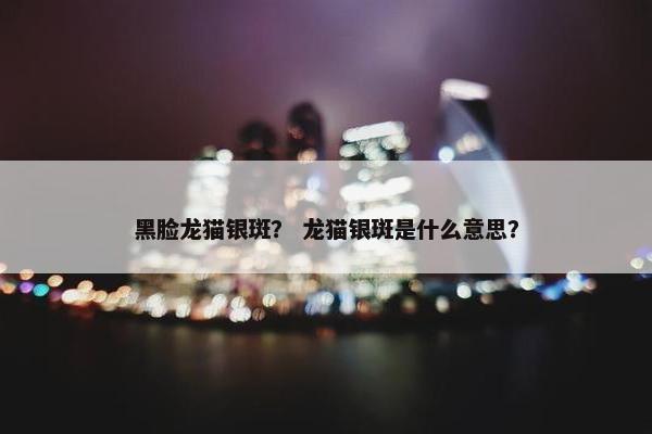 黑脸龙猫银斑？ 龙猫银斑是什么意思？
