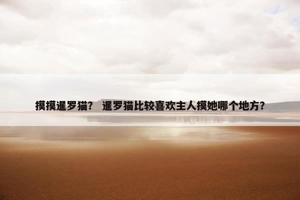 摸摸暹罗猫？ 暹罗猫比较喜欢主人摸她哪个地方？