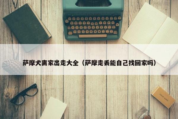 萨摩犬离家出走大全（萨摩走丢能自己找回家吗）
