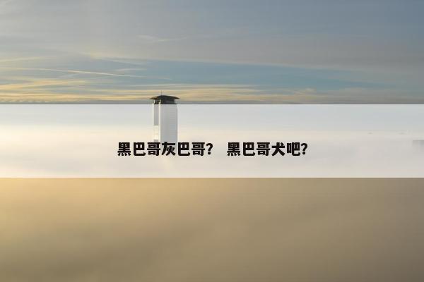 黑巴哥灰巴哥？ 黑巴哥犬吧？