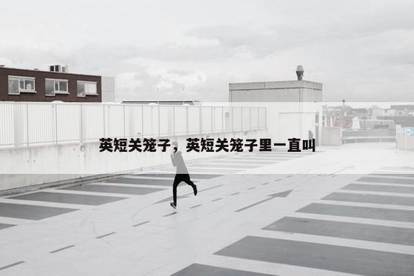 英短关笼子，英短关笼子里一直叫