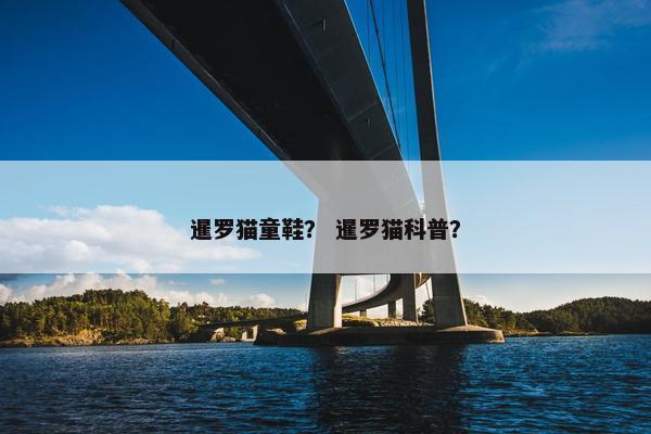 暹罗猫童鞋？ 暹罗猫科普？