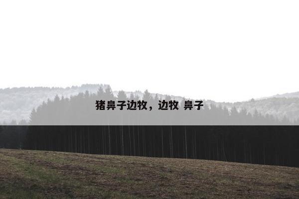猪鼻子边牧，边牧 鼻子
