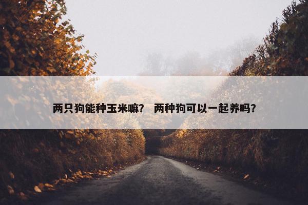 两只狗能种玉米嘛？ 两种狗可以一起养吗？