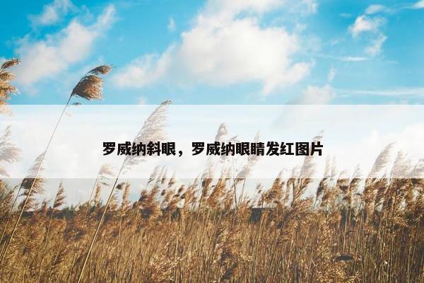罗威纳斜眼，罗威纳眼睛发红图片
