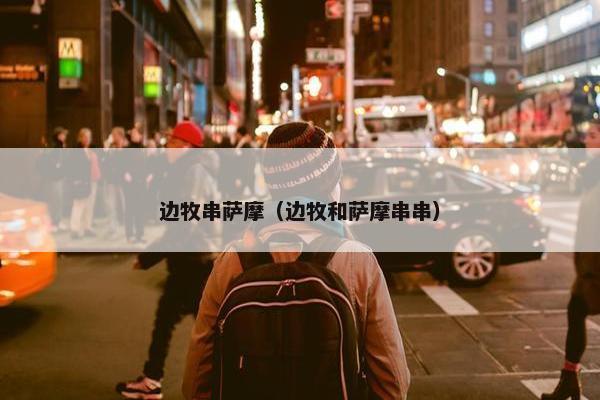 边牧串萨摩（边牧和萨摩串串）