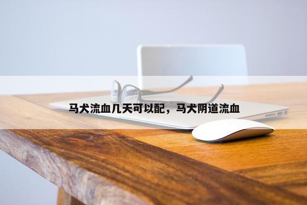 马犬流血几天可以配，马犬阴道流血