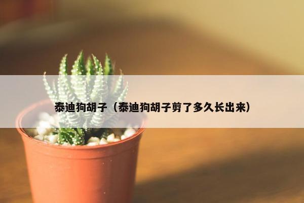 泰迪狗胡子（泰迪狗胡子剪了多久长出来）