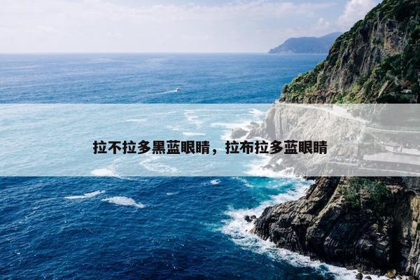 拉不拉多黑蓝眼睛，拉布拉多蓝眼睛