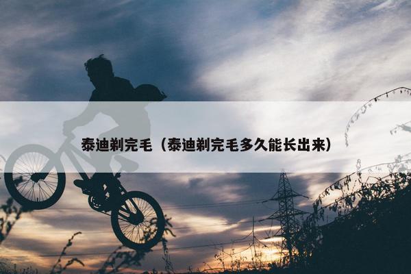 泰迪剃完毛（泰迪剃完毛多久能长出来）