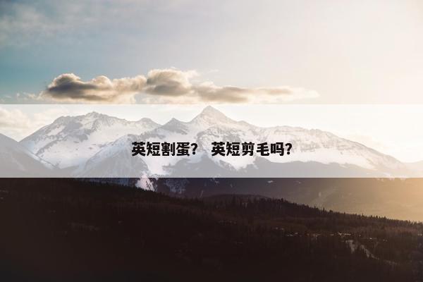 英短割蛋？ 英短剪毛吗？