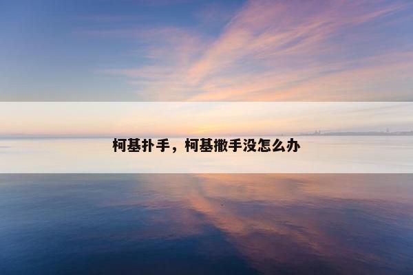 柯基扑手，柯基撒手没怎么办