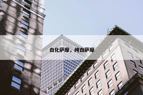 白化萨摩，纯白萨摩