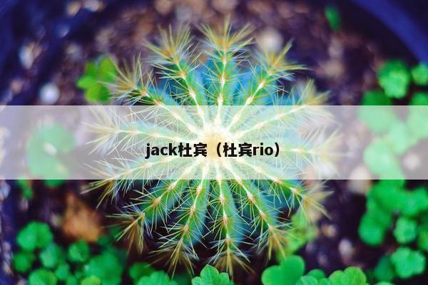 jack杜宾（杜宾rio）