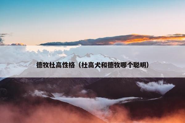 德牧杜高性格（杜高犬和德牧哪个聪明）