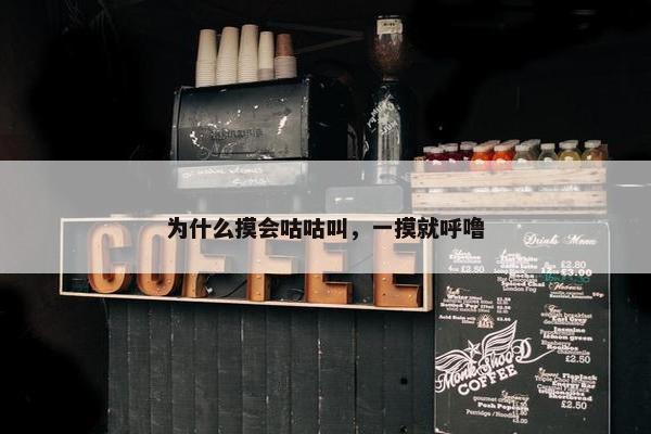 为什么摸会咕咕叫，一摸就呼噜