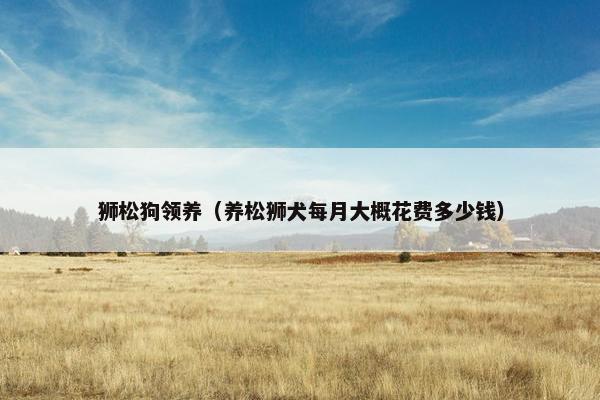 狮松狗领养（养松狮犬每月大概花费多少钱）
