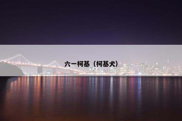 六一柯基（柯基犬）