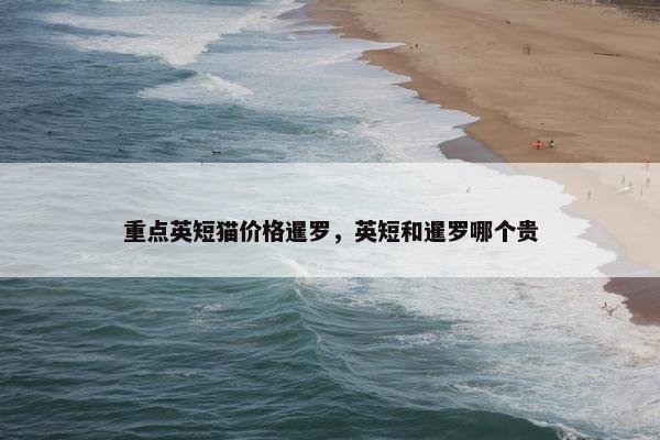 重点英短猫价格暹罗，英短和暹罗哪个贵