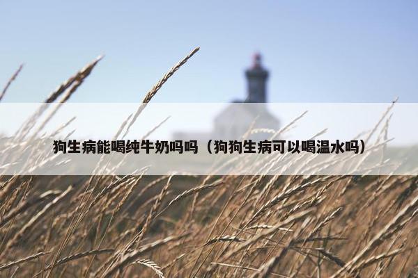 狗生病能喝纯牛奶吗吗（狗狗生病可以喝温水吗）