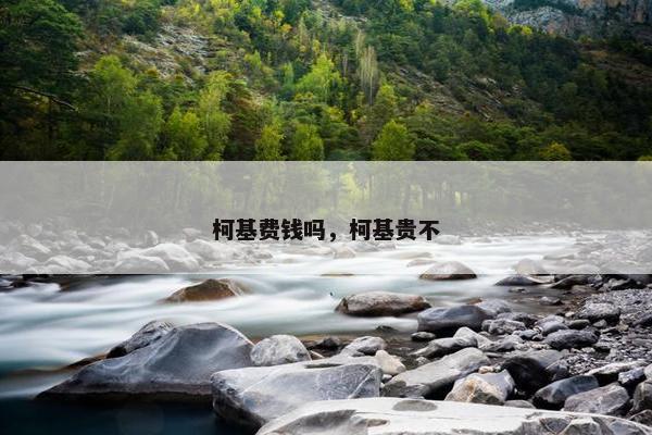 柯基费钱吗，柯基贵不