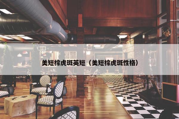 美短棕虎斑英短（美短棕虎斑性格）