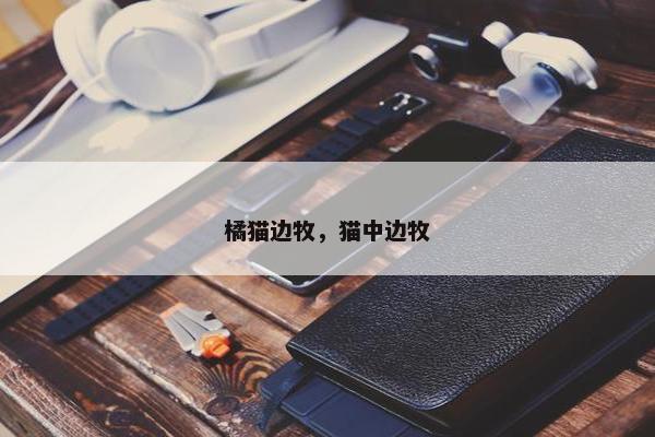 橘猫边牧，猫中边牧