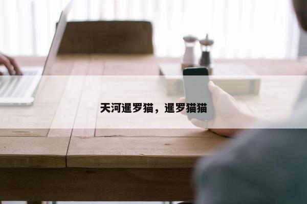 天河暹罗猫，暹罗猫猫