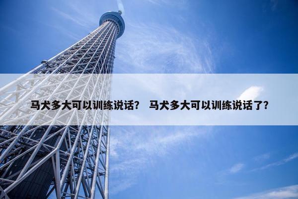 马犬多大可以训练说话？ 马犬多大可以训练说话了？