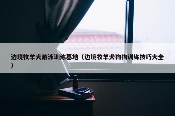 边境牧羊犬游泳训练基地（边境牧羊犬狗狗训练技巧大全）