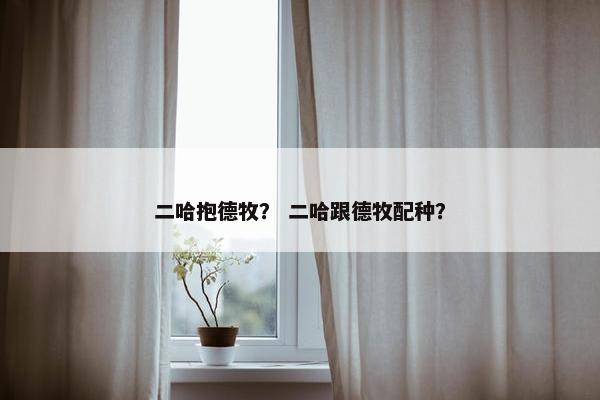 二哈抱德牧？ 二哈跟德牧配种？
