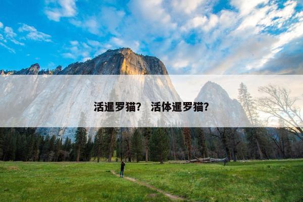 活暹罗猫？ 活体暹罗猫？