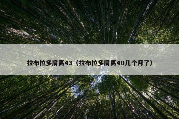 拉布拉多肩高43（拉布拉多肩高40几个月了）