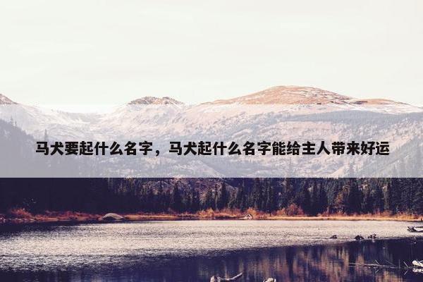 马犬要起什么名字，马犬起什么名字能给主人带来好运