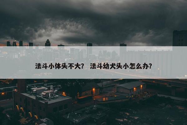 法斗小体头不大？ 法斗幼犬头小怎么办？