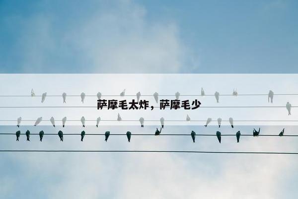 萨摩毛太炸，萨摩毛少