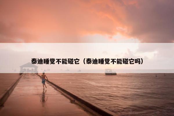 泰迪睡觉不能碰它（泰迪睡觉不能碰它吗）