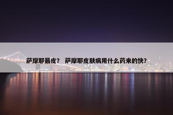 萨摩耶最皮？ 萨摩耶皮肤病用什么药来的快？