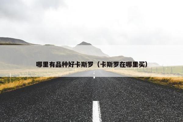 哪里有品种好卡斯罗（卡斯罗在哪里买）