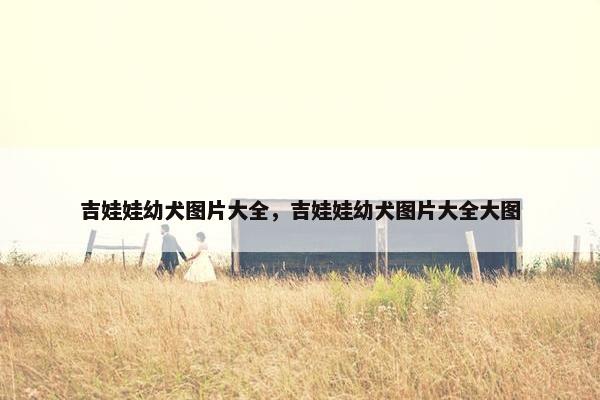 吉娃娃幼犬图片大全，吉娃娃幼犬图片大全大图