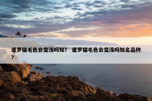 暹罗猫毛色会变浅吗知？ 暹罗猫毛色会变浅吗知名品种？