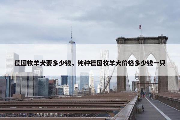 德国牧羊犬要多少钱，纯种德国牧羊犬价格多少钱一只