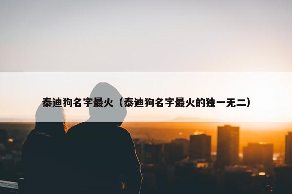 泰迪狗名字最火（泰迪狗名字最火的独一无二）