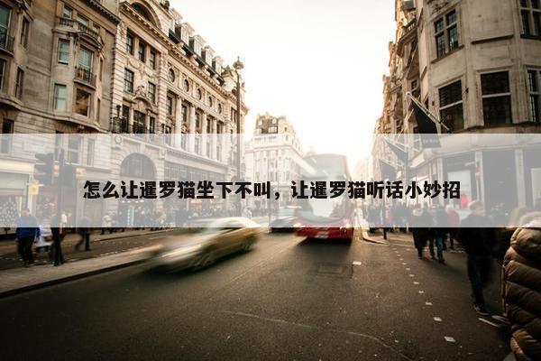 怎么让暹罗猫坐下不叫，让暹罗猫听话小妙招