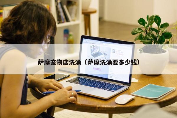 萨摩宠物店洗澡（萨摩洗澡要多少钱）