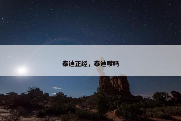泰迪正经，泰迪嗲吗