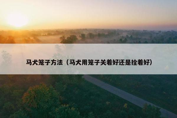 马犬笼子方法（马犬用笼子关着好还是拴着好）