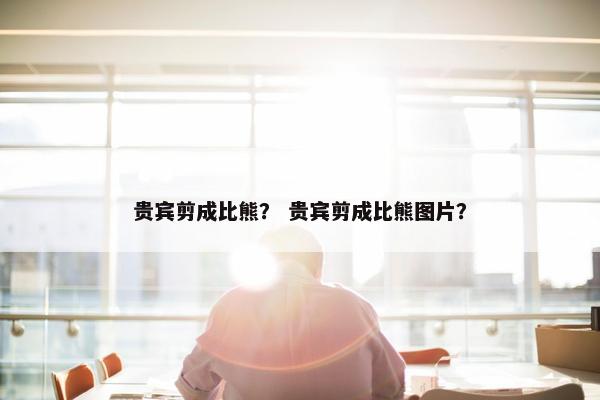 贵宾剪成比熊？ 贵宾剪成比熊图片？