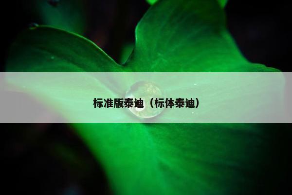 标准版泰迪（标体泰迪）